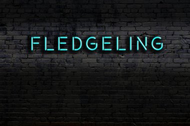 Geceleri duvarda neon levhası var. Yazıt fledgeling