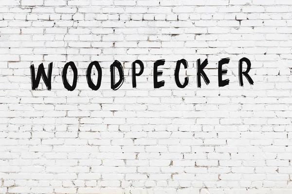 Üzerinde yazı olan beyaz tuğla duvar. Siyah boyayla yazılmış ağaçkakan.