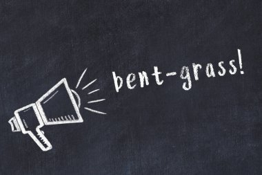 Hoparlör çizimli siyah karatahta ve yazıt eğimli çim