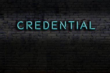 Duvara yazılı yazılı neon levhası. Gece görünümü