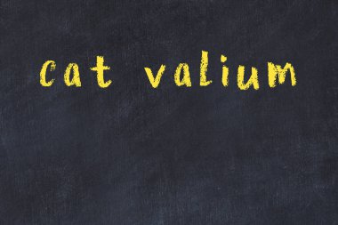 Üzerinde el yazısıyla yazılmış kedi Valium yazısıyla üniversite yazı tahtası.