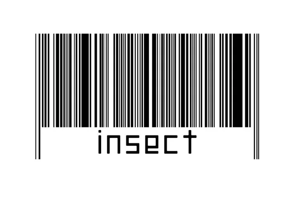 Digitalisierungskonzept Barcode Schwarzer Horizontaler Linien Mit Beschriftung Insekt Unten — Stockfoto
