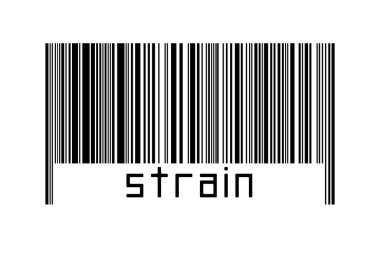 Dijitalleştirme kavramı. Altında yazıt türü bulunan siyah yatay çizgilerin barkodu.