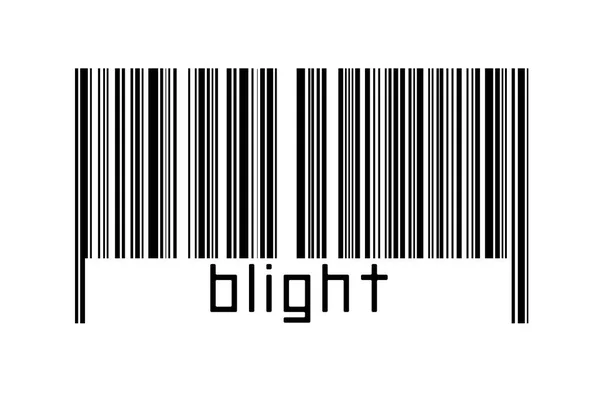 Digitalisierungskonzept Barcode Schwarzer Horizontaler Linien Mit Beschriftungsfleck Unten — Stockfoto