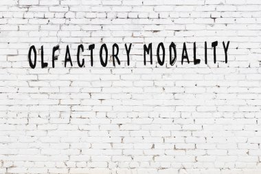 Tebeşir el yazısıyla yazılmış koklama yöntemi siyah masanın üzerinde