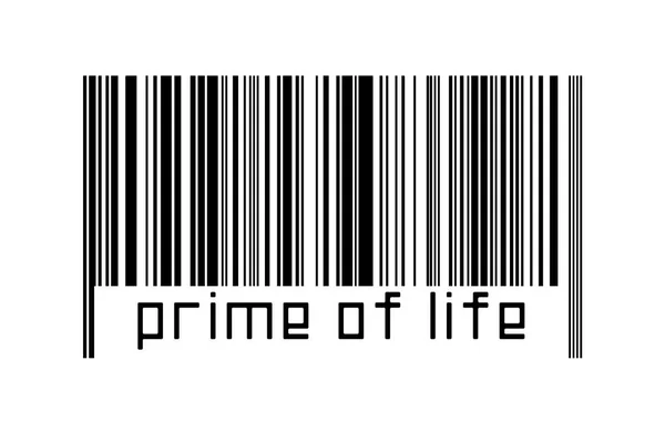 Barcode Witte Achtergrond Met Inscriptie Prime Life Eronder Begrip Handel — Stockfoto