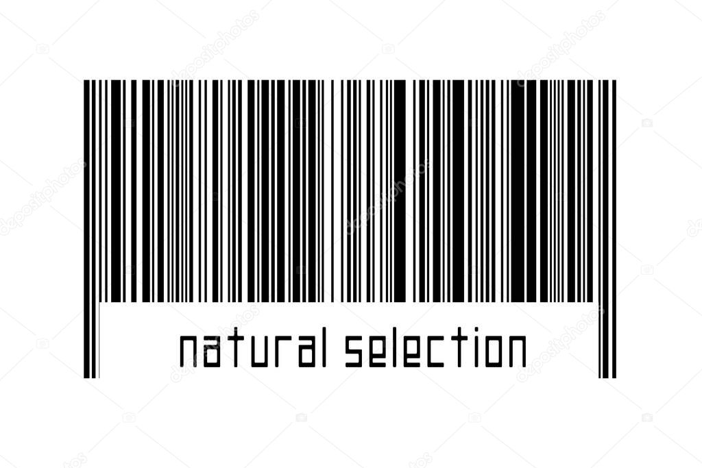Digitalization concept. Barcode of black horizontal lines with inscription natural selection below.