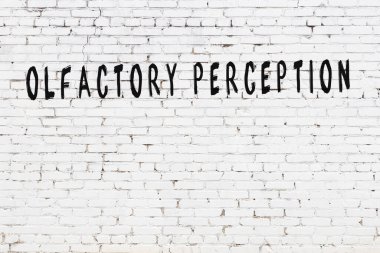 Tebeşir el yazısıyla yazılmış koklama algısı siyah masanın üzerinde