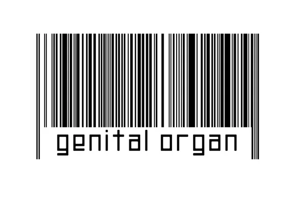 Barcode White Background Inscription Genital Organ Concept Trading Globalization — Stock Photo, Image