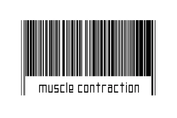 Barcode Auf Weißem Hintergrund Mit Beschriftung Muskelkontraktion Unten Konzept Des — Stockfoto