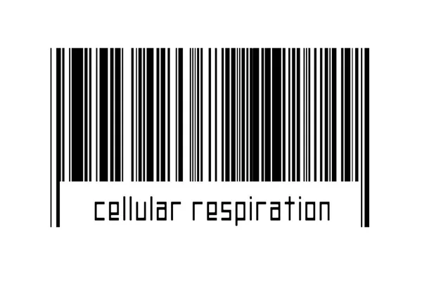 Концепция Цифровизации Штрих Код Черных Горизонтальных Линий Надписью Клеточное Дыхание — стоковое фото