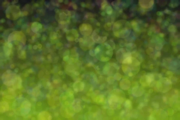 Abstract green background with gradient transitions and light spots. Soft bokeh