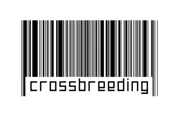 Концепция Цифровизации Штрих Код Черных Горизонтальных Линий Надписью Скрещивания Ниже — стоковое фото