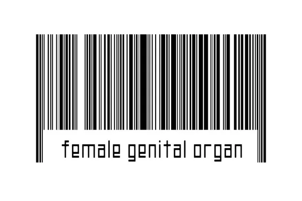 Código Barras Sobre Fondo Blanco Con Inscripción Órgano Genital Femenino — Foto de Stock