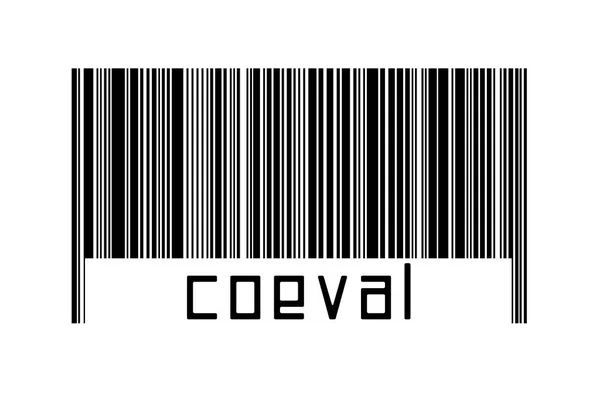 Digitaliseringsconcept Barcode Van Zwarte Horizontale Lijnen Met Daaronder Inscriptie Coeval — Stockfoto