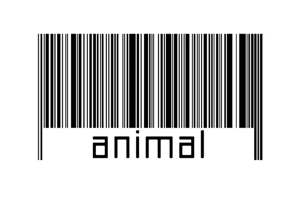 Ψηφιοποίηση Έννοια Barcode Μαύρο Οριζόντιες Γραμμές Επιγραφή Ζώων Κάτω — Φωτογραφία Αρχείου