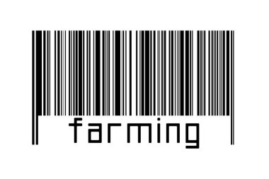 Dijitalleştirme kavramı. Altında yazıtlar bulunan siyah yatay çizgilerin barkodu.