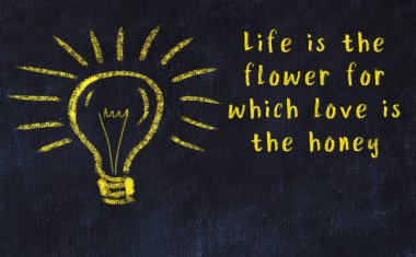 Bilgece bir alıntı ve siyah karatahtaya bir ampul çizimi