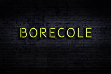 Duvarda yazıt borekolü olan neon tabela. Gece görünümü