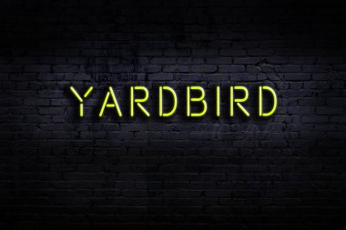 Geceleri duvarda neon levhası var. Yazıt yardbird