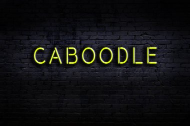 Duvara yazıtlar asılmış neon tabela. Gece görünümü