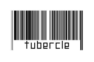 Dijitalleştirme kavramı. Altında yazıt tübü olan siyah yatay çizgilerin barkodu.