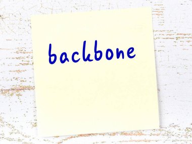 Omurga hakkında hatırlatma kavramı. Tahta duvarda üzerinde yazı olan sarı yapışkan kağıt.