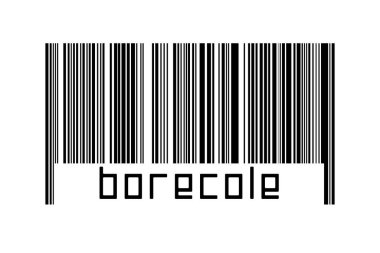 Dijitalleştirme kavramı. Altında yazıt borekolü olan siyah yatay çizgilerin barkodu.