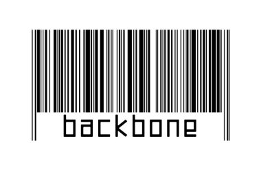 Altında yazıt omurgası olan beyaz arka planda bir barkod. Ticaret ve küreselleşme kavramı