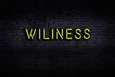 Geceleri duvarda neon levhası var. Yazı çılgınlığı