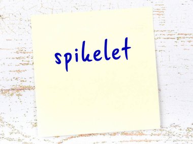 Tahta duvardaki sarı yapışkan notta el yazısı dikenli çivi.