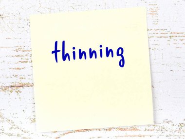 Tahta duvarda, el yazısıyla inceltilmiş sarı yapışkan bir not var.