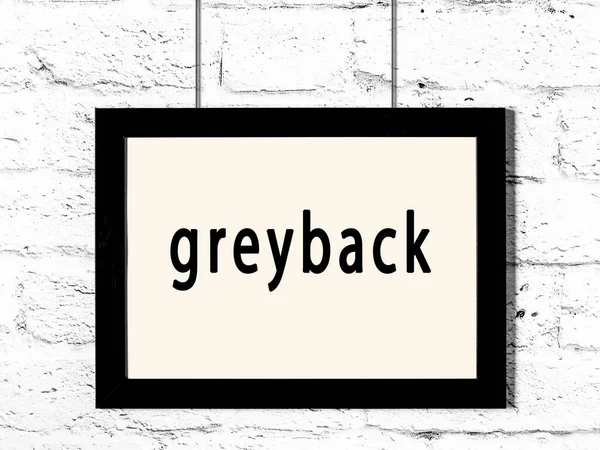 Moldura Madeira Preta Com Inscrição Greyback Pendurado Parede Tijolo Branco — Fotografia de Stock