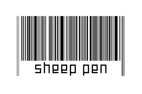 Ψηφιοποίηση Έννοια Barcode Μαύρο Οριζόντιες Γραμμές Επιγραφή Στυλό Πρόβατα Παρακάτω — Φωτογραφία Αρχείου