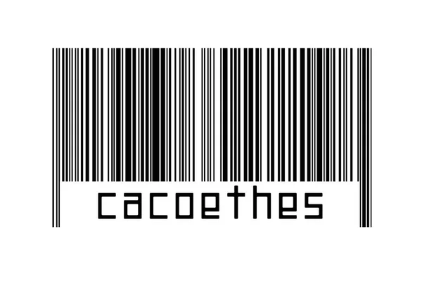 Barcode Auf Weißem Hintergrund Mit Der Aufschrift Cacoethes Unten Konzept — Stockfoto