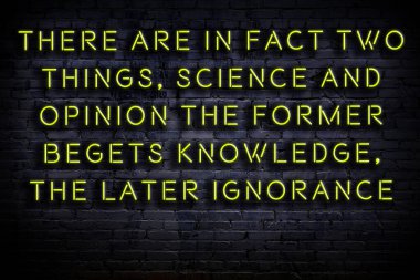 Tuğla duvardaki ışıklı neon tabela olarak bilgece alıntı