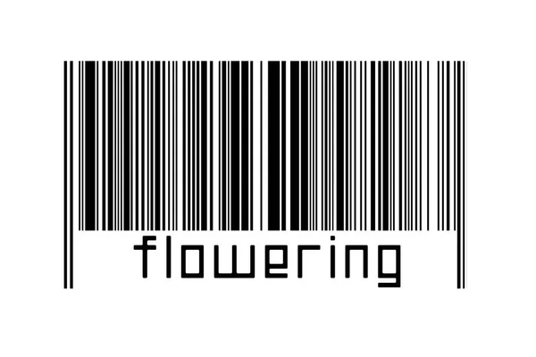 Barcode White Background Inscription Flowering Concept Trading Globalization — Fotografia de Stock