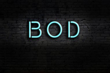 Duvara yazı yazan neon tabela. Gece görünümü