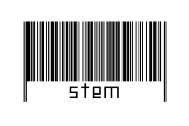 Dijitalleştirme kavramı. Altında yazıt sapı bulunan siyah yatay çizgilerin barkodu.