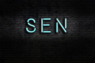 Duvara yazı yazan neon levhası. Gece görünümü