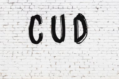 Beyaz tuğladan duvar, siyah boyayla yazılmış.