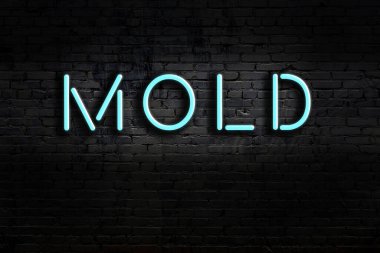 Geceleri duvarda neon levhası var. Yazı kalıbı