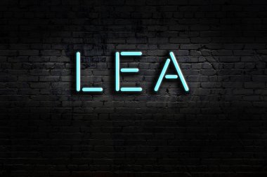 Duvara yazı yazan neon levhası. Gece görünümü