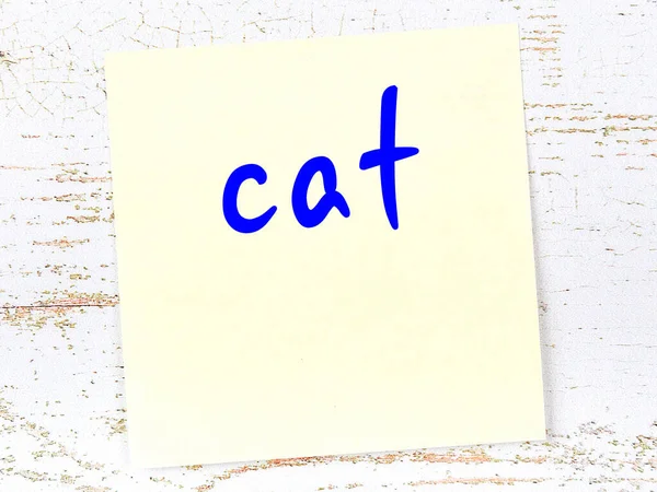 Yellow Sticky Note Wooden Wall Handwritten Inscription Cat — Stock Photo, Image