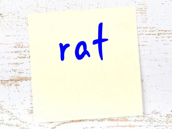 关于老鼠的提醒概念 木制墙壁上印有题词的黄色粘贴纸 — 图库照片