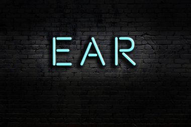 Geceleri duvarda neon levhası var. Yazı kulağı