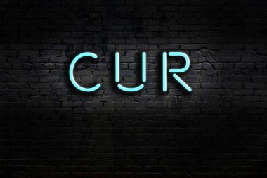 Duvarda yazı yazan neon levhası. Gece görünümü