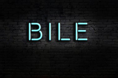 Duvara kazınmış safra taşlı neon tabela. Gece görünümü