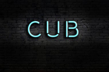 Geceleri duvarda neon levhası var. Yazıt Yavrusu