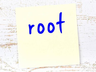 Kök hakkında hatırlatma kavramı. Tahta duvarda üzerinde yazı olan sarı yapışkan kağıt.